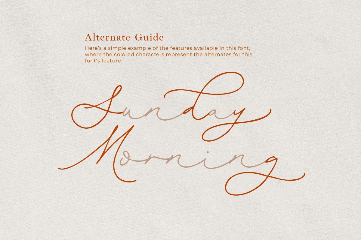 Mistyphora - Handwritten Script, a Script Font by Bale Type (Photo 6 of 10)