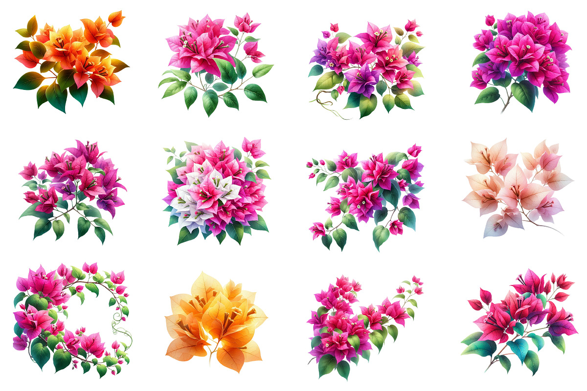 Bougainvillea Flowers Clipart Bundle, an Illustration by Dream Creation (Photo 4 of 5)