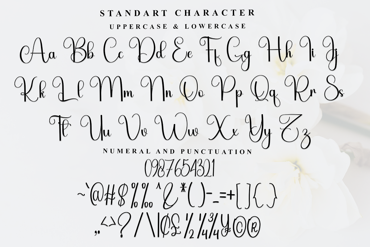 Beautiful Handmade, a Handwritten Font by FreshTypeINK (Photo 5 of 8)