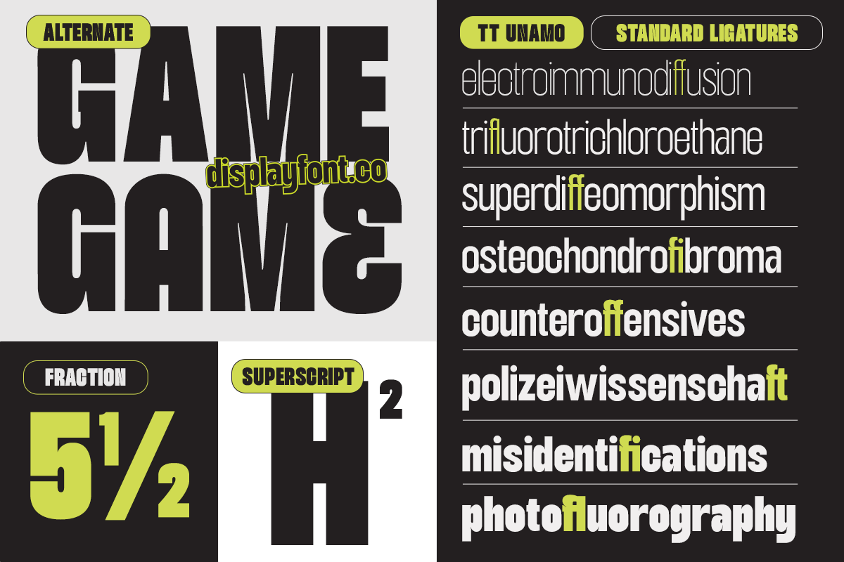TT Unamo - Sans Display Condensed, a Sans Serif Font by truetype (Photo 3 of 15)