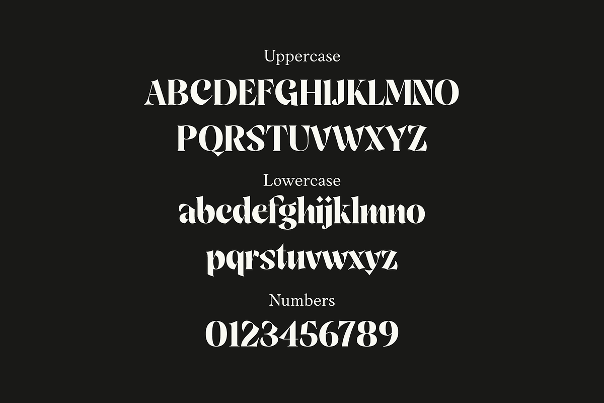 Sandor; Display Serif Font, a Serif Font by Eko Bimantara (Photo 4 of 5)