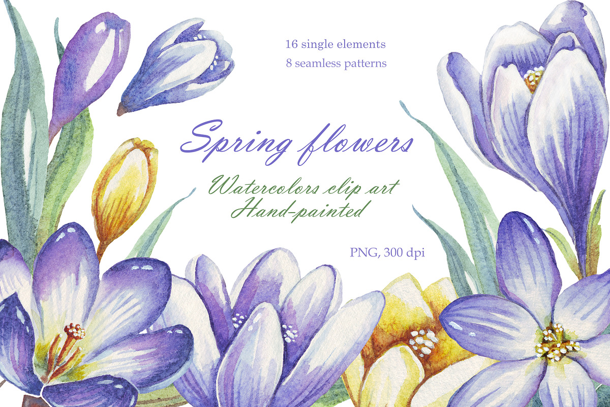 Spring flowers bundle PNG + patterns, an Illustration by Alena Kurian (Photo 2 of 10)