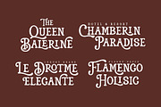 Alendro - Vintage Display Font, a Serif Font by Typebae (Thumbnail 2 of 8)