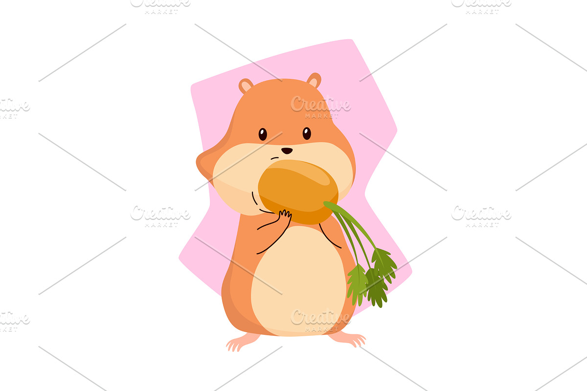 Cartoon hamster. Fluffy domestic pet, an Animal Illustration by the8monkey