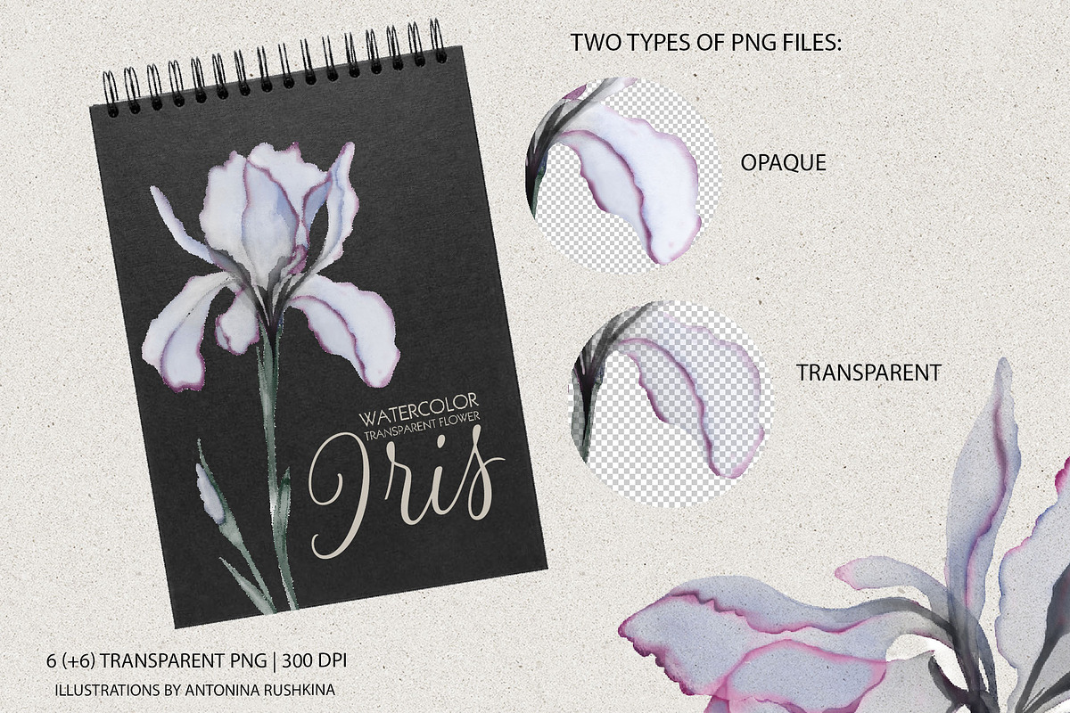 Transparent flowers of iris., an Illustration by RushkinaAntonina (Photo 5 of 6)