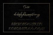 Charlotte Script, a Script Font by Chocotype Std (Thumbnail 5 of 10)