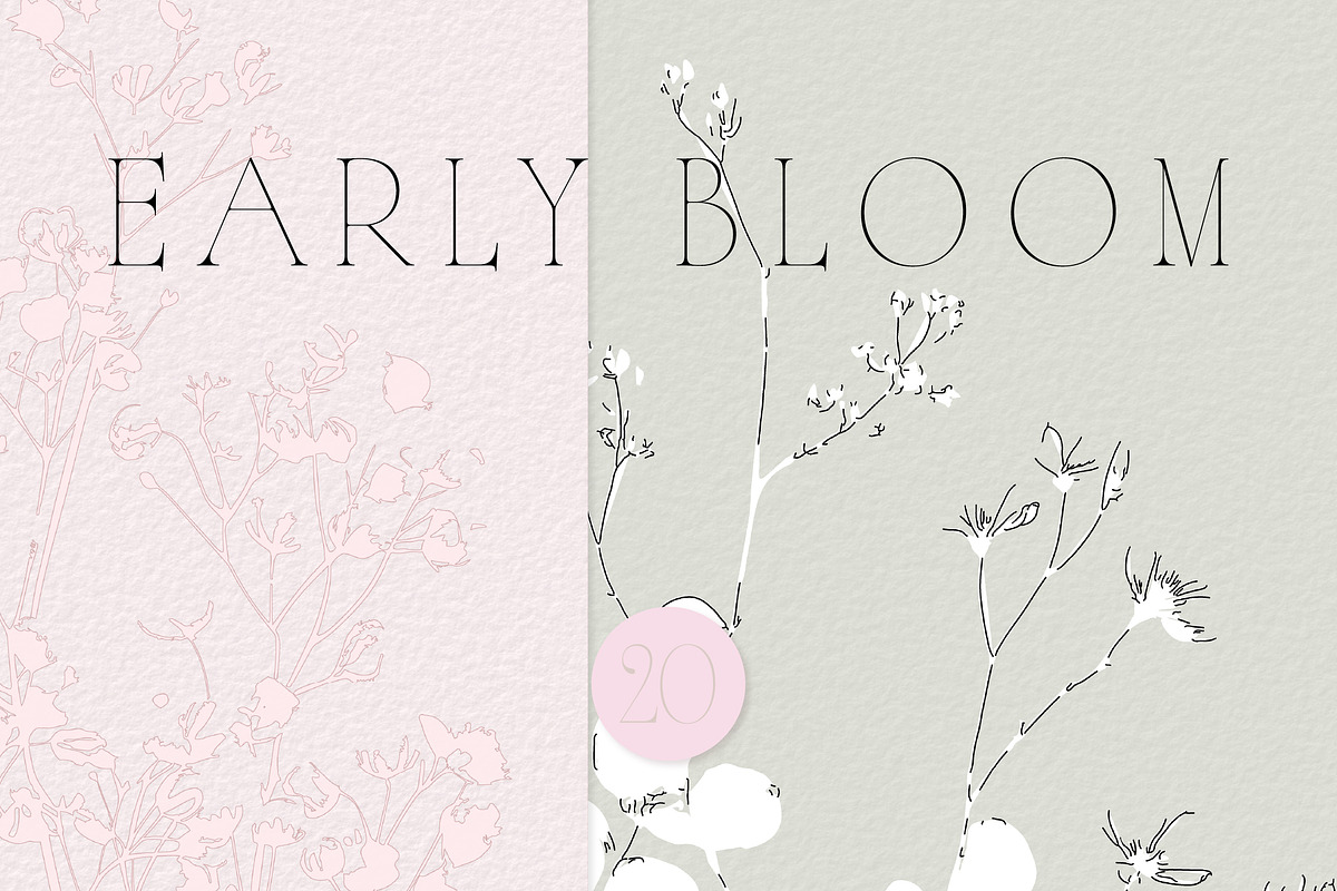 Botanical Background Collection, a Background Graphic by Anna Sokol (Photo 7 of 14)