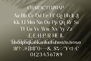 Evolind || Modern Elegant Serif Font, a Serif Font by Ermedia Studio (Thumbnail 10 of 10)