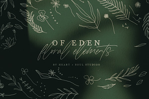 Of Eden | Floral Elements