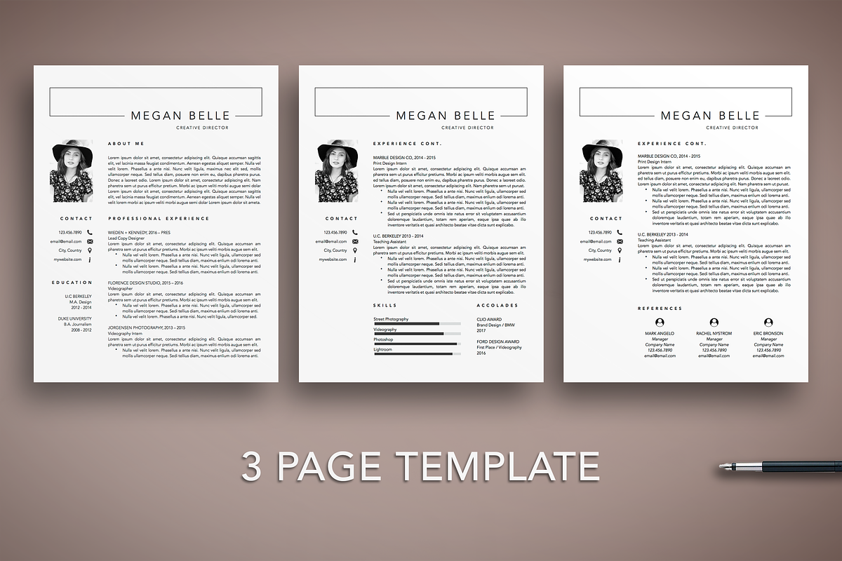 Professional Resume Cv Template, a Resume Template by The Creative Resume (Photo 3 of 8)