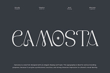 Camosta  Display Serif Font