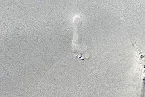 Footprints in smooth beach sand along a quiet New England coast at the shorelin, a Photo by AS photostudio