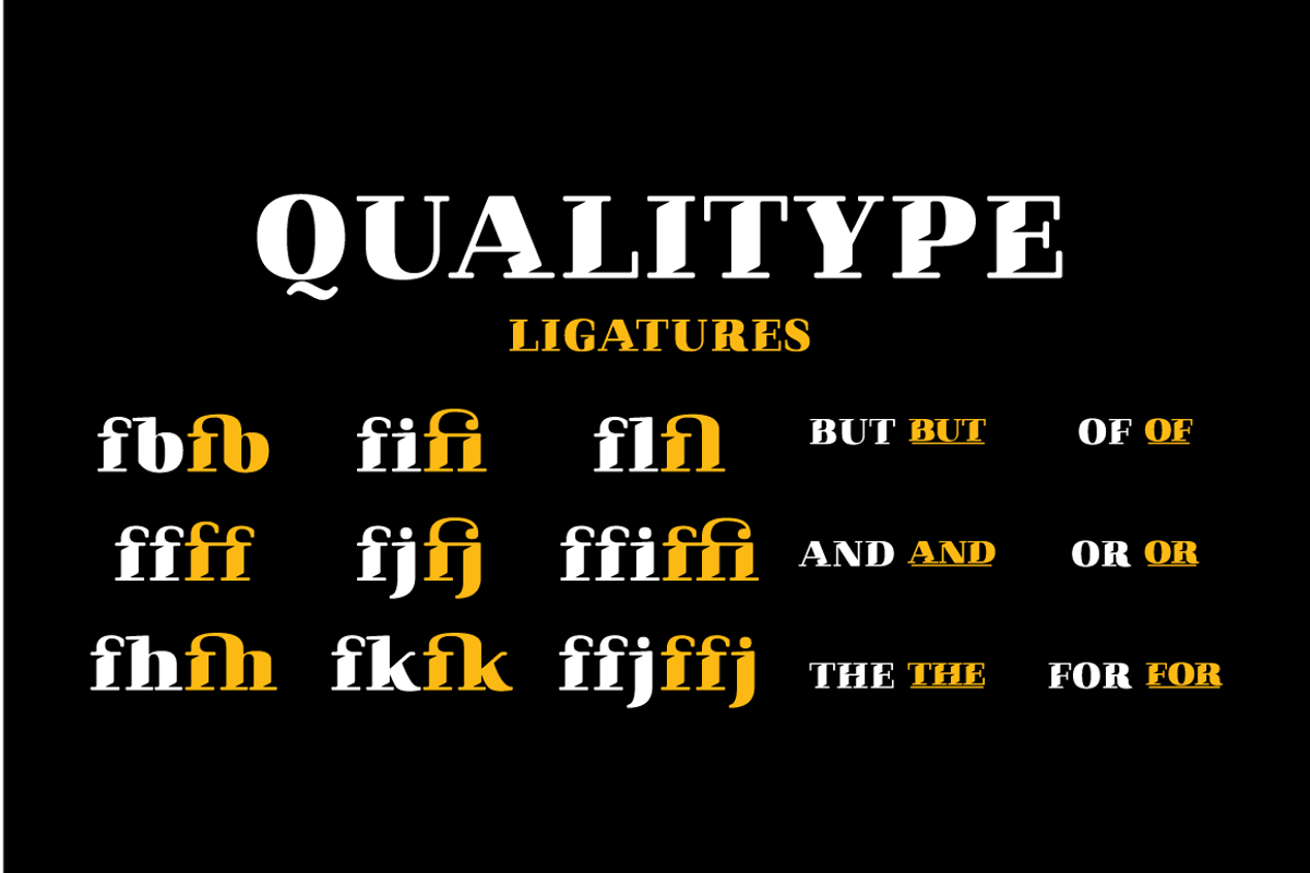 Qualitype Old, a Serif Font by BULENT YUKSEL (Photo 8 of 14)