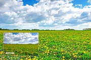 Real Oil Paint Photoshop Action, an Action Add-On by Effect-Hub (Thumbnail 13 of 15)