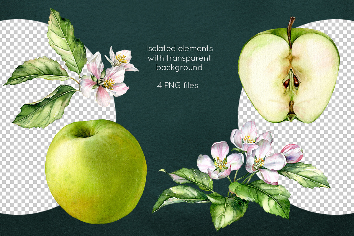 Green Apple Bloom. Watercolor set, a Graphic by Akvarelldesign (Photo 2 of 2)