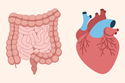 Set of human internal organs, an Education Illustration by Yayasya (Thumbnail 3 of 3)