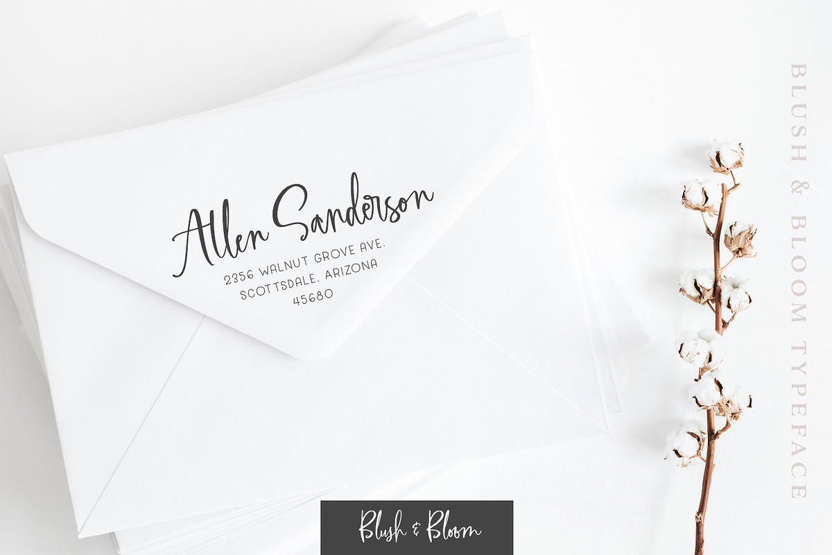 Blush & Bloom Signature Type preview 4