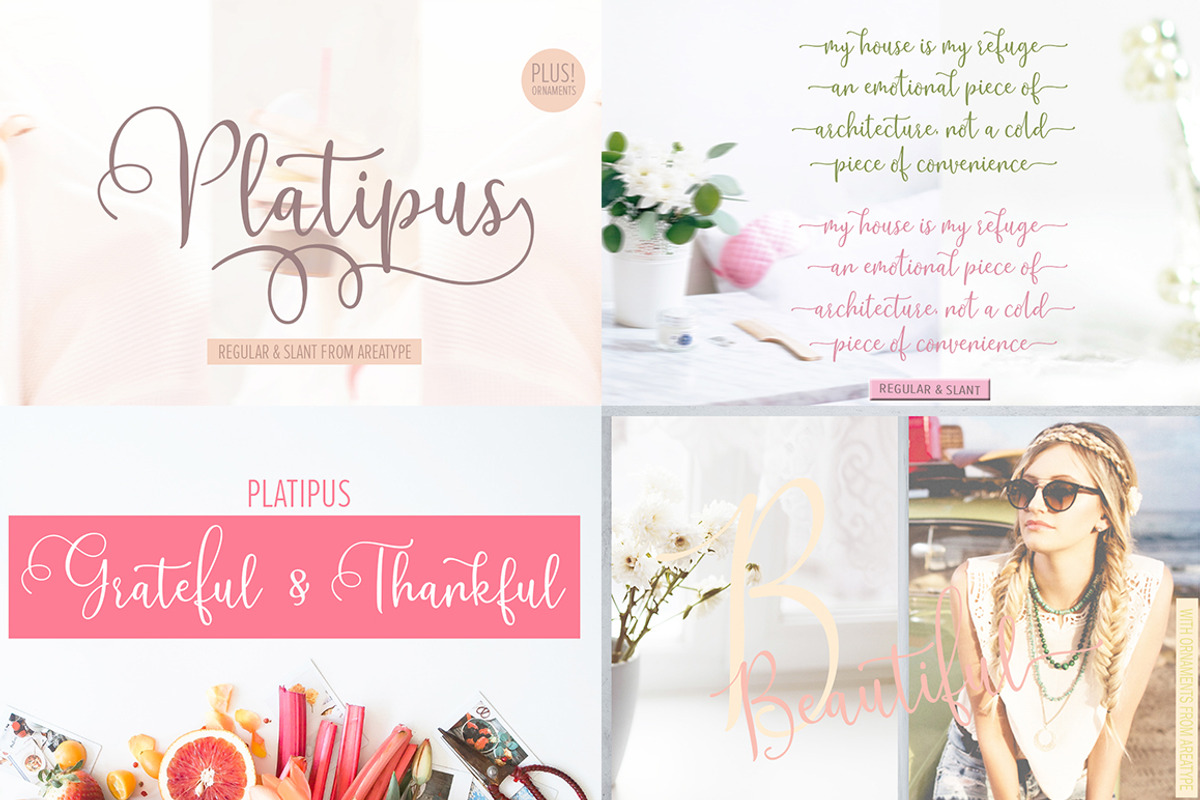 Handwritten fonts collection