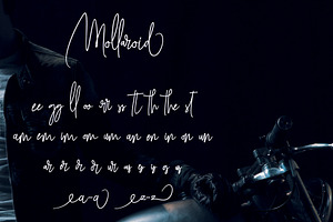 Mollaroid Signature Font