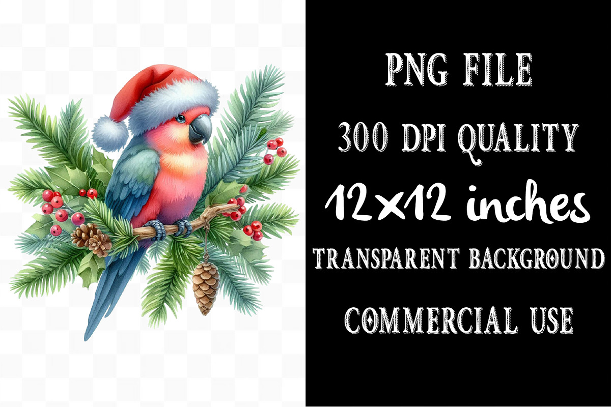Watercolor Parrots Clipart, an Illustration by Designking (Photo 4 of 5)