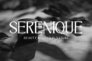 Nivoria -  Modern Serif Font, a Serif Font by Rishsketch (Thumbnail 6 of 15)