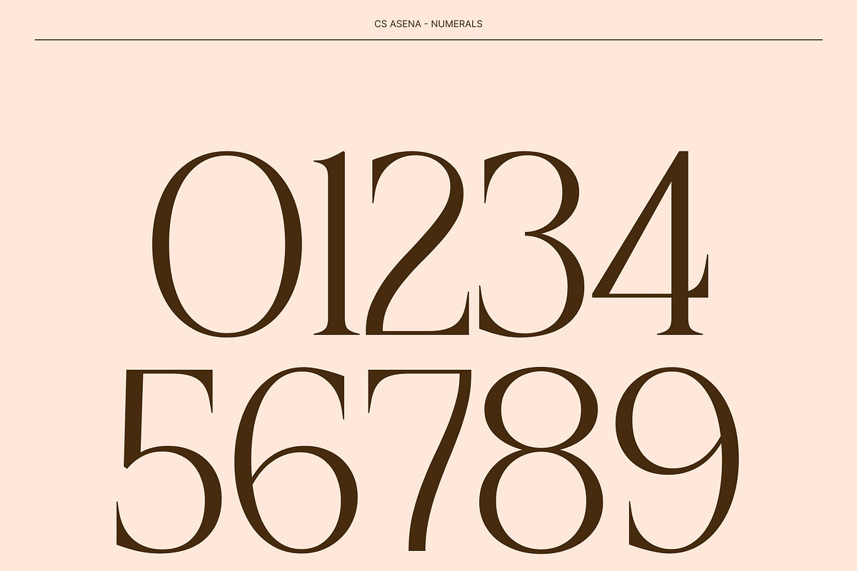 CS Asena – Elegant Serif Font, a Serif Font by Craft Supply Co. (Photo 3 of 8)