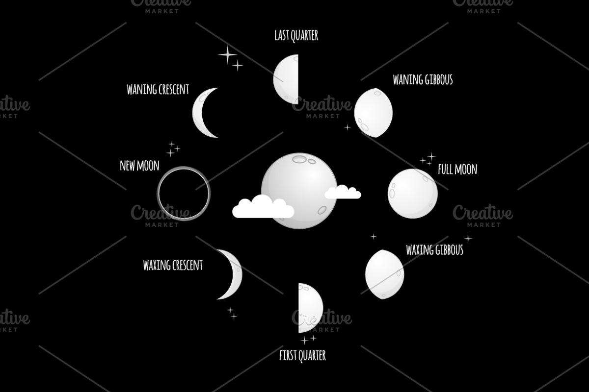 Moon phases illustration, an Education Illustration by Beatriz Gascón
