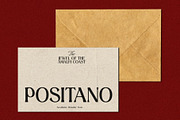 Aesthetic Wonder - Modern Aesthetic, a Serif Font by Prioritype Co (Thumbnail 17 of 20)