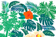 Set of tropical leaves, an Illustration by picsome.ca (Thumbnail 2 of 2)