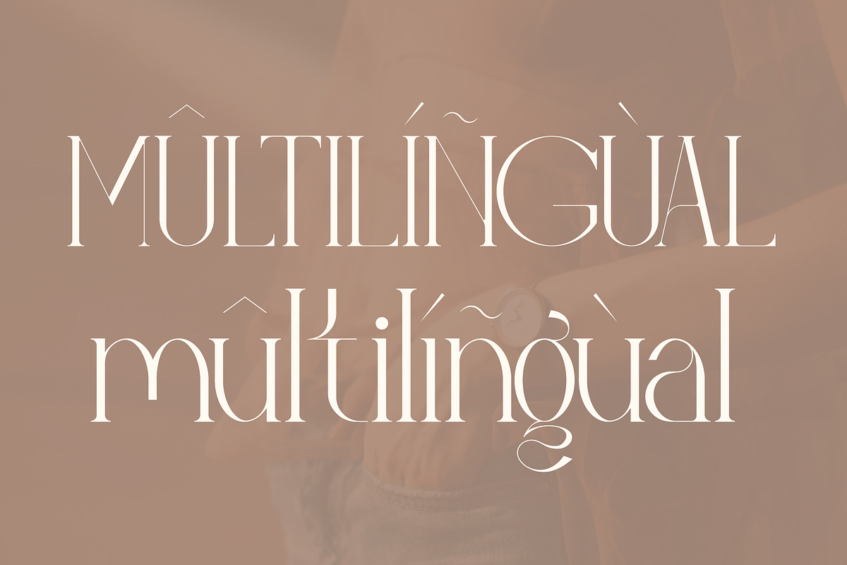Relyagih Modern Serif Font, a Serif Font by Storytype Studio (Photo 14 of 15)