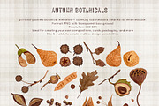 Autumn Botanicals Clipart & Patterns, an Object Graphic by ArtPavo (Thumbnail 9 of 10)