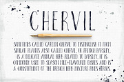 Chervil, a Script Font by Webvilla Studio (Thumbnail 2 of 4)