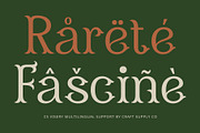 CS Visery – Display Font, a Serif Font by Craft Supply Co. (Thumbnail 3 of 8)