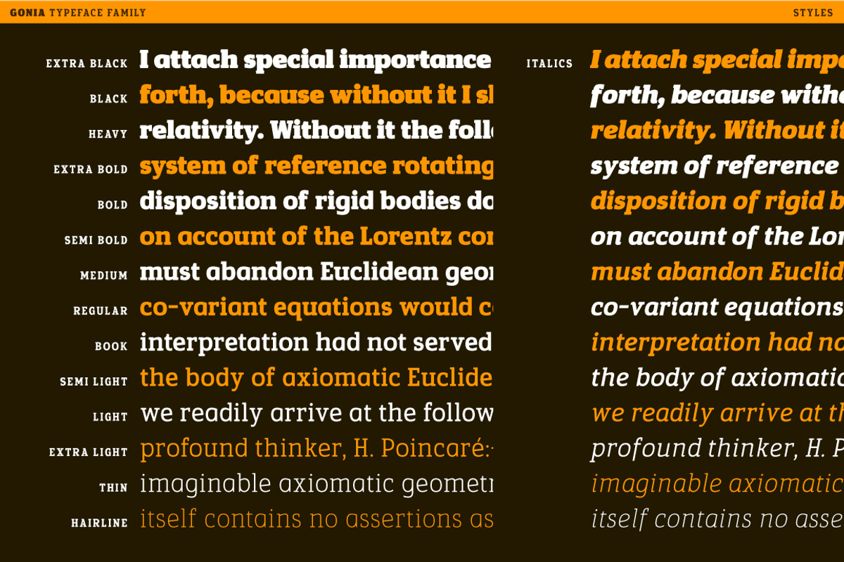 Gonia, a Slab Serif Font by Typogama (Photo 3 of 15)