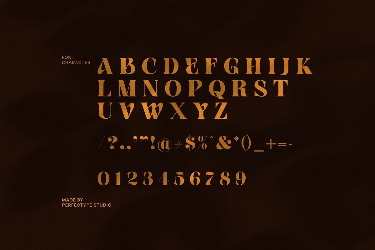 Venom Elegant Serif Font, a Serif Font by Perfectype (Photo 8 of 8)