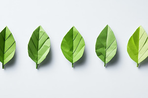 Green paper origami leaves arranged in a row banner, an Abstract Photo by Natalia Klenova's Shop
