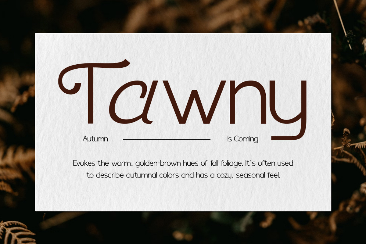 Benomore - Elegant Display Font, a Sans Serif Font by Vadovastd (Photo 2 of 6)