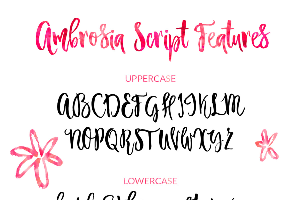 Ambrosia Script preview 4