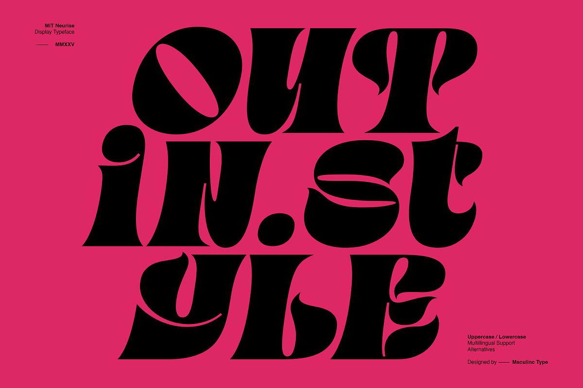 MIT Neurise, a Serif Font by Maculinc Type (Photo 12 of 12)