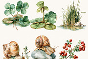 Watercolor Summer Pond Nature, an Object Illustration by BusyDaydesign (Thumbnail 6 of 9)