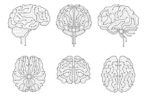 Circuit board brains. Technical, a Technology Illustration by YummyBuum
