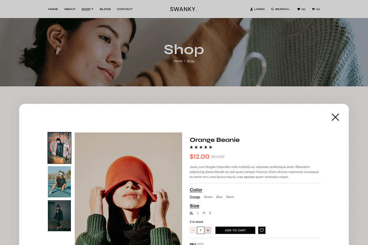 Swanky Fashion Store Figma Template, a Websites & App Template by TemplatesJungle (Photo 21 of 23)