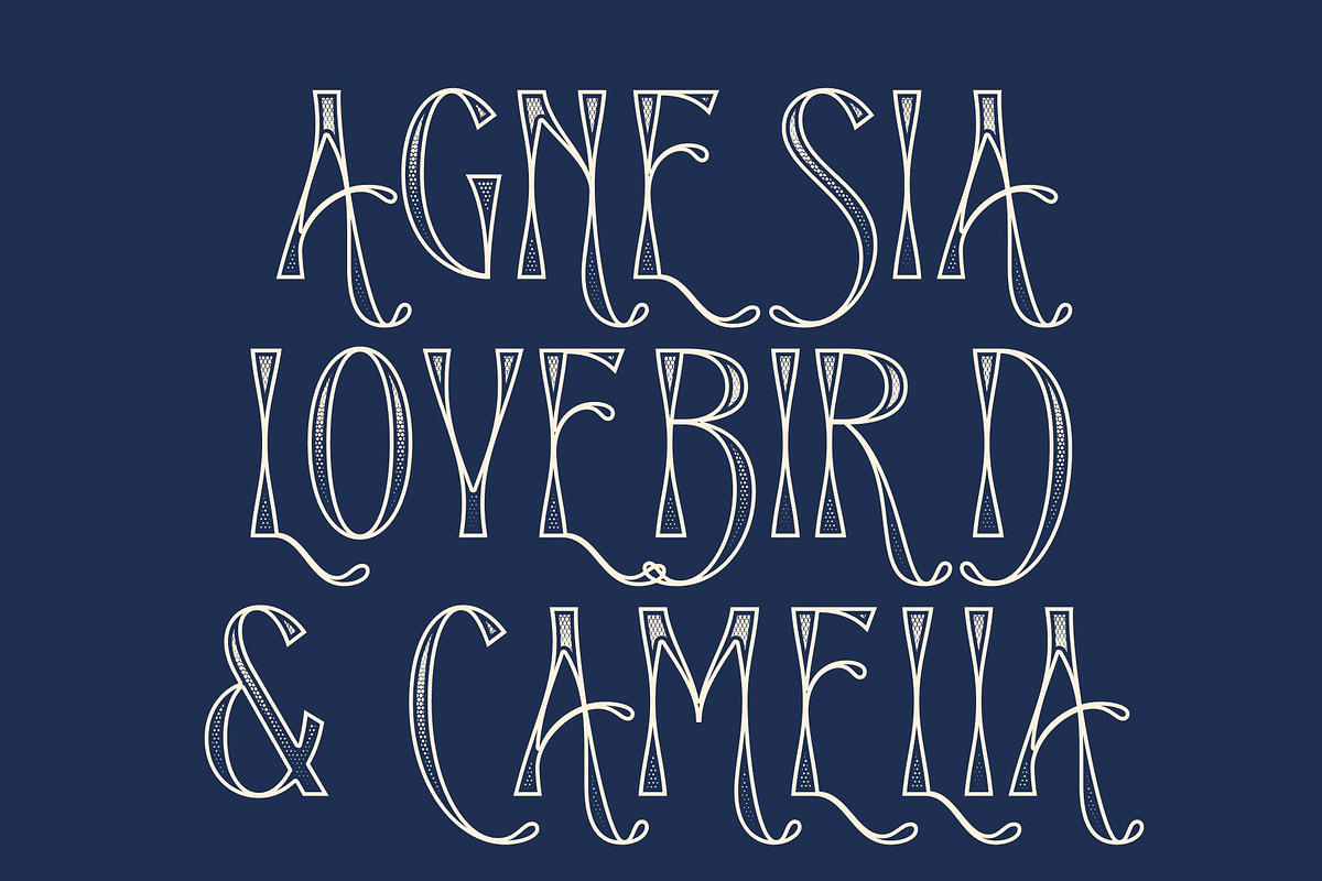 CS Lovisa Stippled, a Sans Serif Font by Craft Supply Co. (Photo 3 of 8)