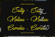Cauloid | Monoline Script, a Script Font by gracetype_studio (Thumbnail 2 of 12)