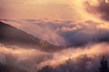 Foggy morning landscape, a Nature Photo by Nature and travel