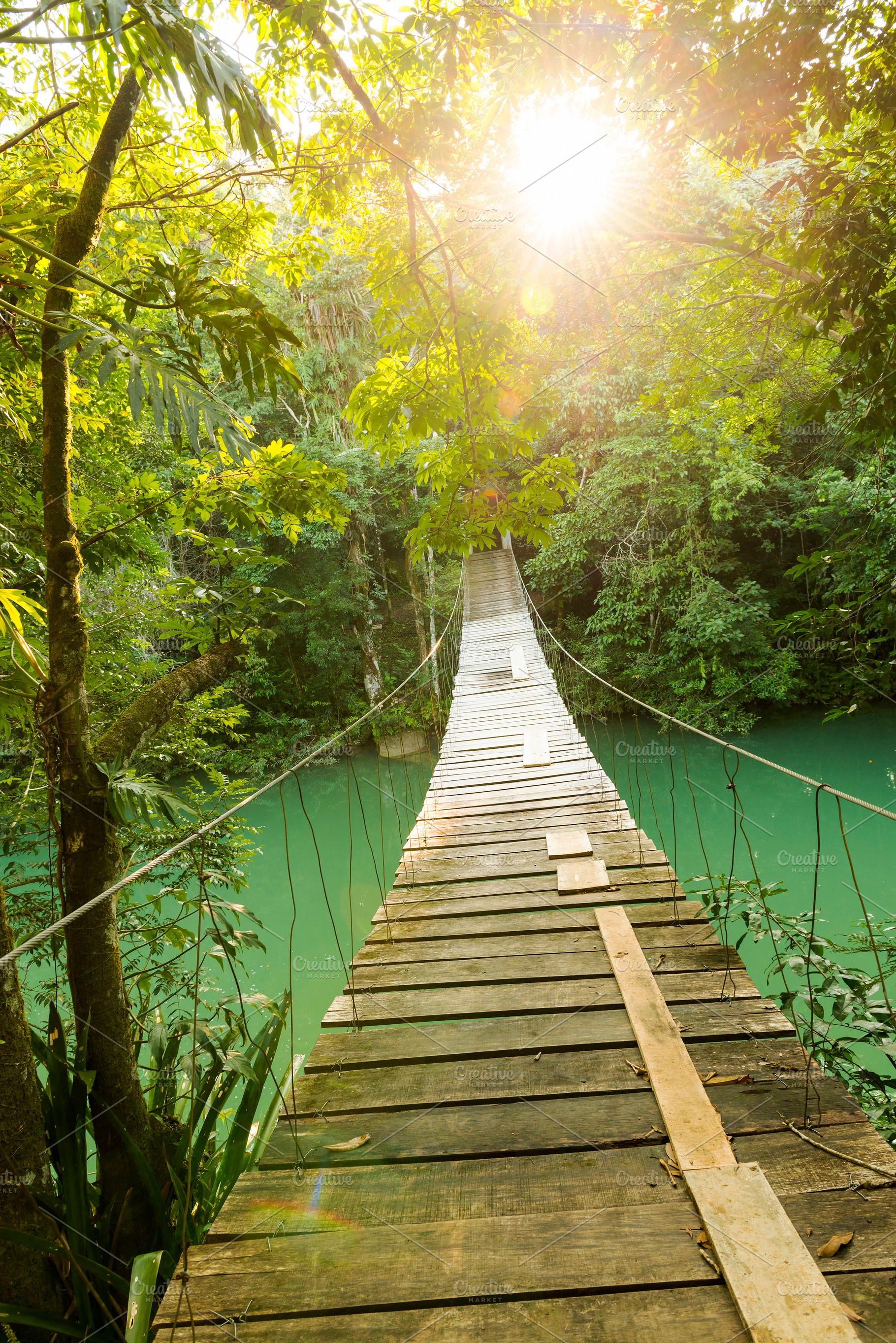 Epic Bridge Over Jungle River, a Nature Photo by THP Creative
