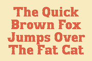 CS Modley – Western Font, a Slab Serif Font by Craft Supply Co. (Thumbnail 5 of 8)