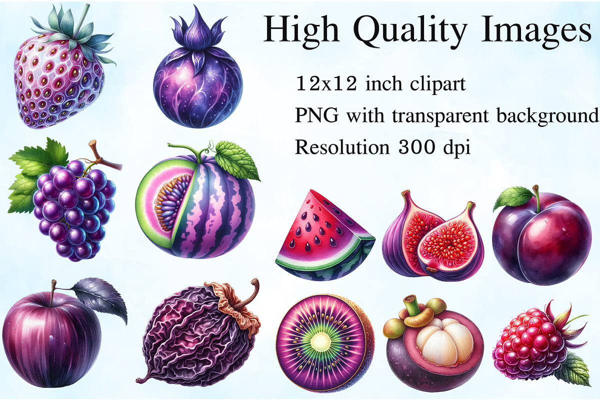 Watercolor Purple Fruit Clipart, an Illustration by Craft Nest (Photo 2 of 5)