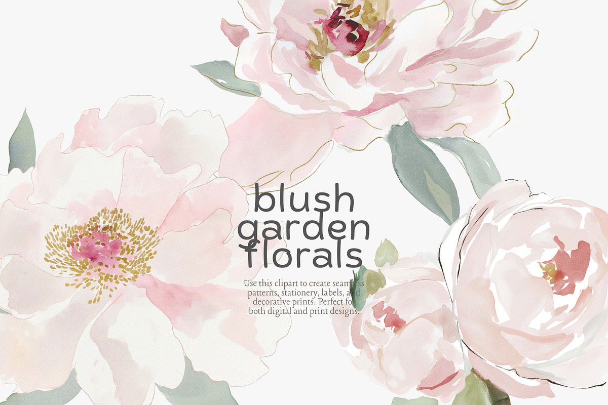 Blush floral clipart set, an Illustration by Patishop Art (Photo 6 of 8)