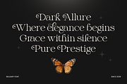 Stylish Logo Font - Bulgary, a Serif Font by Umitype (Thumbnail 2 of 8)